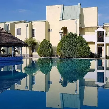 Romi Pool & Garden
